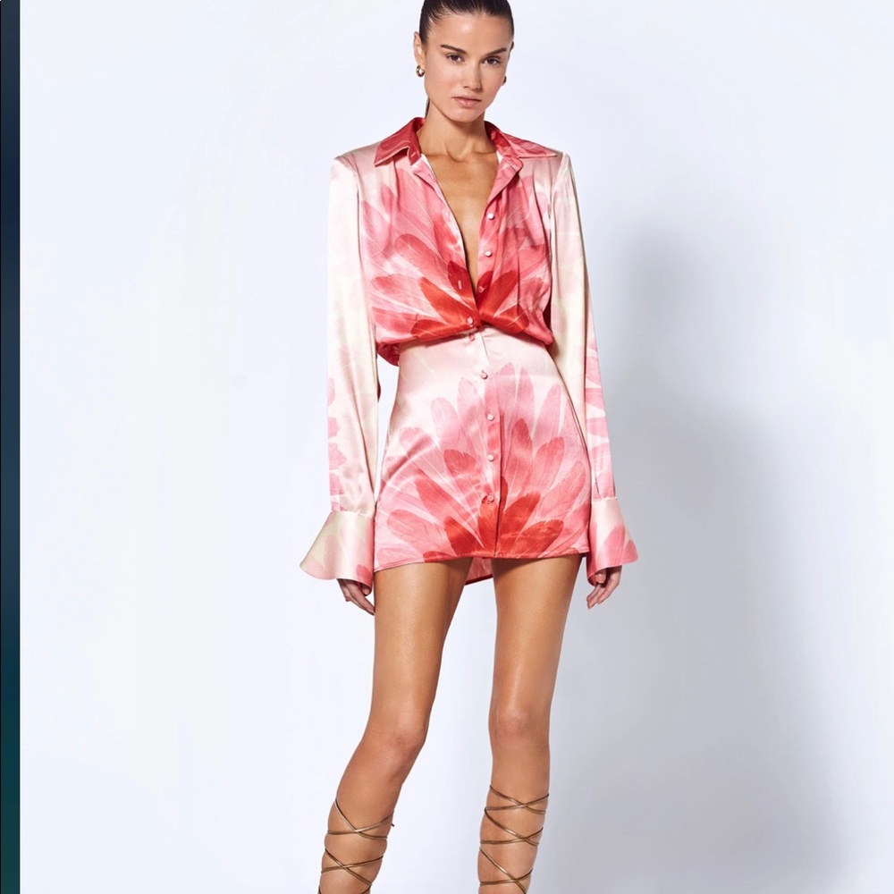 Alexis vento dress with feather print.
